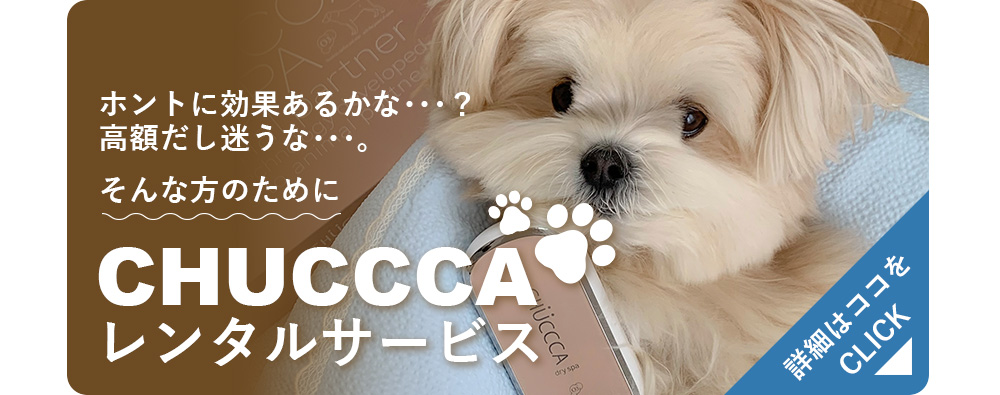 CHUCCCAレンタルサービス