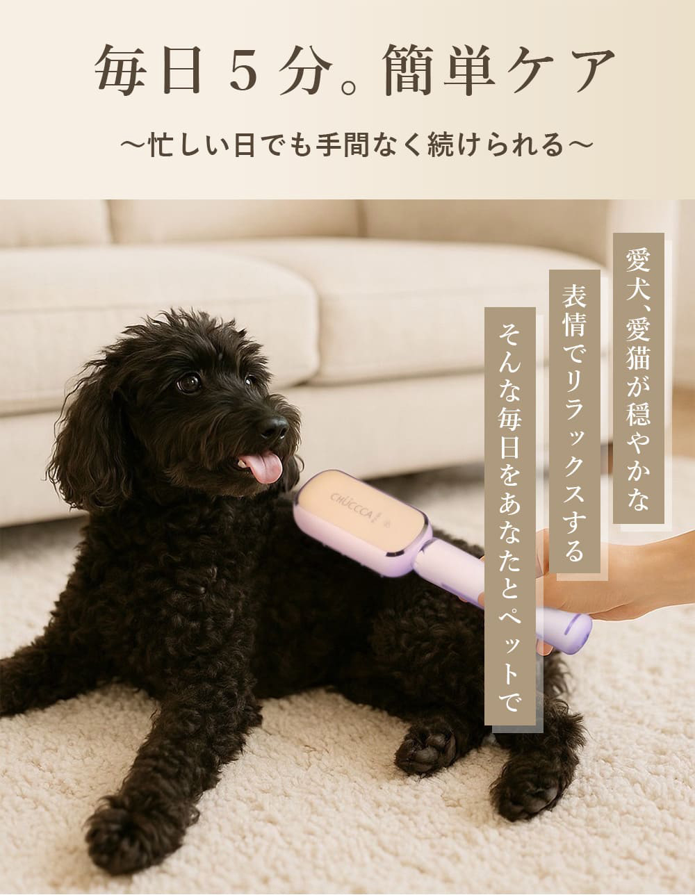 毎日5分。簡単ケア