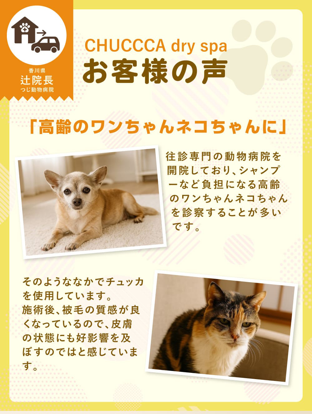 お客様の声「高齢のワンちゃんネコちゃんに」