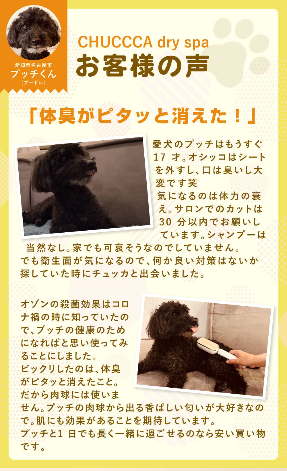 お客様の声「体臭がピタッと消えた！」