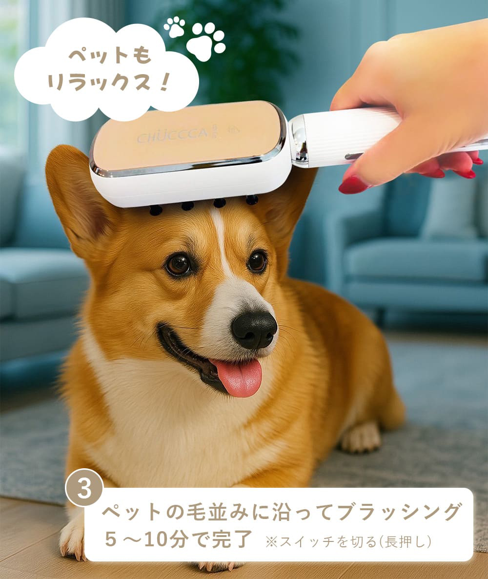 ペットの毛並みに沿ってブラッシング