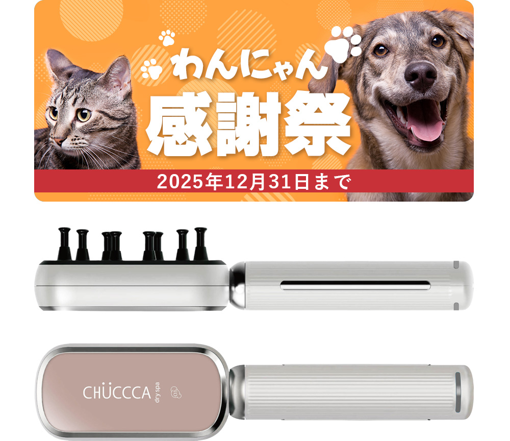 CHUCCCAサマーキャンペーン実施中！！