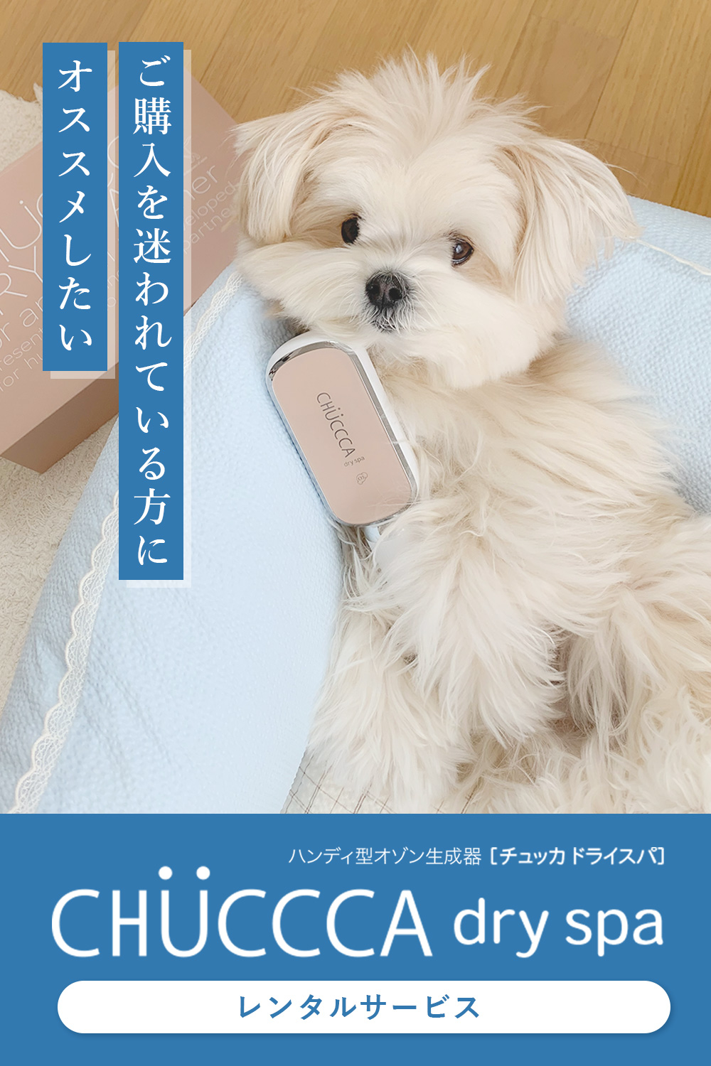 ハンディ型オゾン生成機チュッカドライスパレンタルサービス